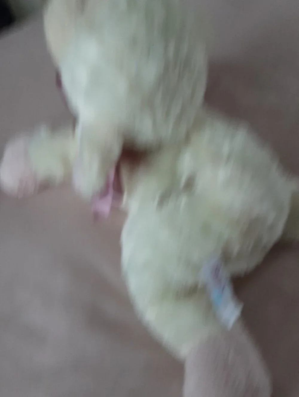 Family Christian Wind Up Musical Lamb.